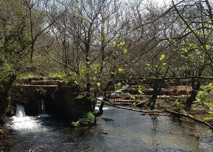 Trisileja En Puente Pensionat Toñanes