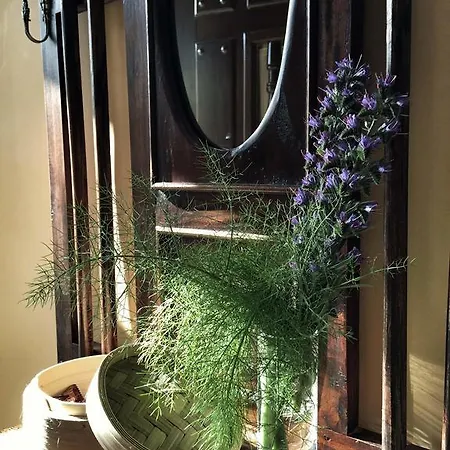 Guest house Trisileja En Puente Tonanes